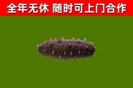 张家界烟酒回收干海参.jpg